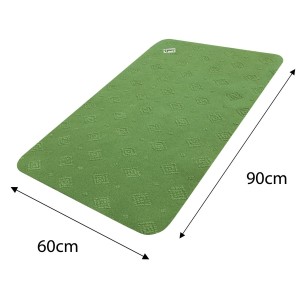 Anti Slip Absorbent Floor Mat - Classic - Green